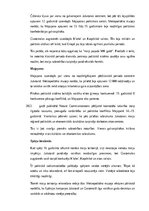 Summaries, Notes 'Maiju civilizācija: vēsture, kultūra, mitoloģija, sabiedrība un kultūras mantoju', 19.