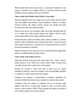 Summaries, Notes 'Maiju civilizācija: vēsture, kultūra, mitoloģija, sabiedrība un kultūras mantoju', 23.