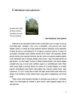 Practice Reports 'Melnalkšņu vecuma struktūra valsts mežos', 4.