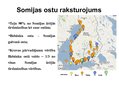 Presentations 'Transporta un vides politika Somijā', 6.