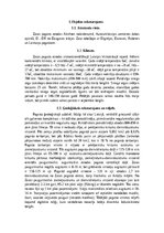 Research Papers 'Meža autoceļu būvniecība', 5.