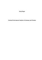 Research Papers 'External Environment Analysis of Germany and Ukraine', 1.