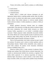 Research Papers 'Latvijas 2003.gada budžeta politikas analīze', 13.