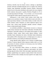 Research Papers 'Latvijas 2003.gada budžeta politikas analīze', 19.