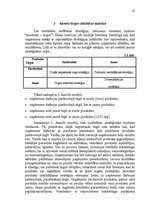 Research Papers 'SIA "Florabalt" SVID analīze un attīstības stratēģijas izstrādāšana', 22.