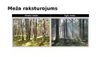 Presentations 'Ekosistēma - mežs', 4.