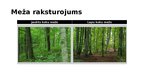 Presentations 'Ekosistēma - mežs', 5.