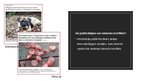 Presentations 'Viltus ziņas analīze: “Pārdaugavā dzīvniekus nogalina ar ēdienu, kurā sadurtas n', 4.