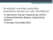 Presentations 'Katastrofas Latvijā un to seku likvidēšana', 17.