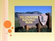 Presentations 'Yellowstone National Park', 1.