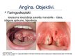 Presentations 'Angīnu diferenciāldiagnostika: angīna/difterija', 5.