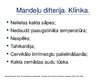 Presentations 'Angīnu diferenciāldiagnostika: angīna/difterija', 17.