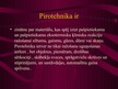 Presentations 'Pirotehnika', 2.