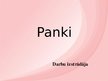 Presentations 'Panki', 1.