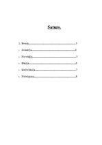 Research Papers 'Augstākās izglītības iespējas Norvēģijā, Zviedrijā, Lielbritānijā un Dānijā', 2.