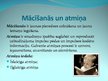Presentations 'Neirofizioloģija', 14.