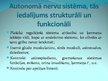 Presentations 'Neirofizioloģija', 17.