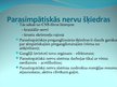 Presentations 'Neirofizioloģija', 24.