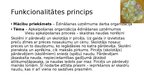 Presentations 'Didaktikas principi', 8.