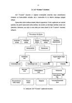Research Papers 'Uzņēmuma "Dzintars" vadīšanas sistēmas izpēte un novērtēšana', 13.