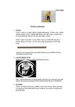 Presentations 'Termini', 1.