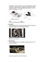 Presentations 'Termini', 8.