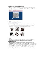 Presentations 'Termini', 19.