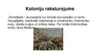 Presentations 'Pirmās kolonijas Ziemeļamerikā, Neatkarības karš 18.gadsimtā', 5.