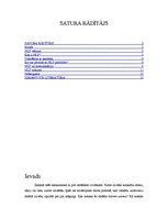 Research Papers 'Neirolingvistiskā programmēšana un komunikāciju teorija', 2.
