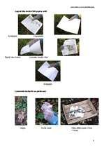 Research Papers 'Papīra iepakojums kā alternatīva plastmasas maisiņiem - nākotnes realitāte vai u', 8.
