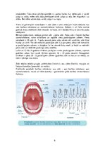 Presentations 'Mutes dobuma un zobu higiēnas nozīme jauniešu dzīvē', 6.