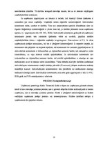 Research Papers 'Komerctiesības Austrijā', 10.