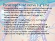 Presentations 'Veģetatīvā nervu sistēma', 13.