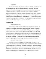Research Papers 'Uzņēmuma analīze. Ārējā un iekšējā vide', 10.