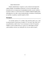 Research Papers 'Uzņēmuma analīze. Ārējā un iekšējā vide', 12.