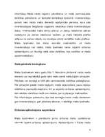 Research Papers 'Meža īpašnieka tiesības un pienākumi', 6.