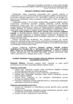 Practice Reports 'Atskaite par agrīnu bernības', 2.