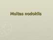 Presentations 'Muitas nodoklis', 1.