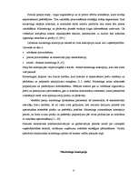 Term Papers 'Kompānijas "Henkel" darbības un konkurētspējas analīze', 8.