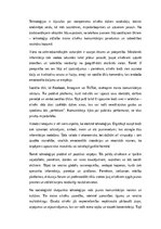 Essays 'Digitālās realitātes valodas: tehnoloģiju ietekme uz cilvēka komunikāciju', 1.