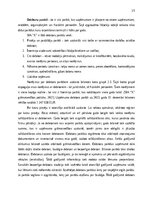 Practice Reports 'Kvalifikācijas prakses atskaite', 17.