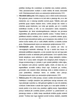 Term Papers 'SIA "Mara optic" reklāmas analīze un pilnveidošana', 32.
