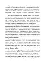 Essays 'Global warming', 2.