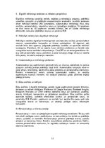 Research Papers 'Mārketings un reklāma: digitālais mārketings, sociālo tīklu stratēģijas, reklāma', 11.