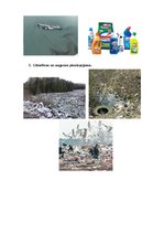 Research Papers 'Vides piesārņojums un tā sekas', 14.