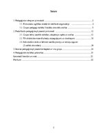 Practice Reports 'Agrīnā bērnības pedagoģiskā prakse', 2.