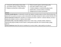 Practice Reports 'Agrīnā bērnības pedagoģiskā prakse', 29.