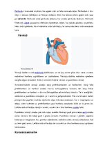 Summaries, Notes 'Sirds, sirds asinsvadu sistēma', 5.