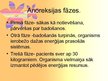 Presentations 'Anoreksija', 10.