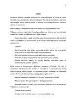 Research Papers 'Kontrafakto preču izplatība e-komercijas vidē: ietekme uz Latvijas tautsaimniecī', 3.